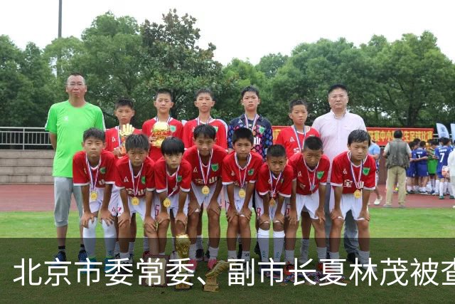 北京市委常委、副市长夏林茂被查