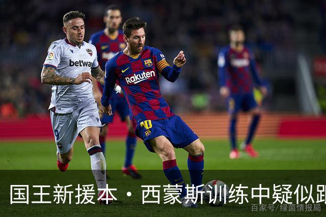 国王新援本·西蒙斯训练中疑似跟腱撕裂，赛季未开先报销