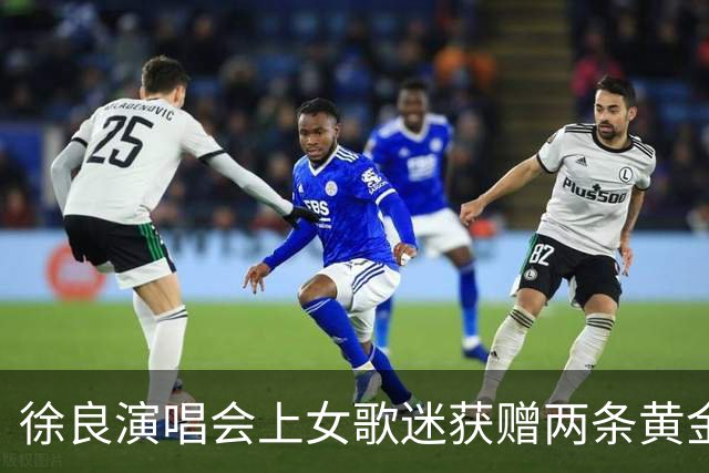 徐良演唱会上女歌迷获赠两条黄金小象项链，总重4.83克价值约6000元，当事人：第一次收到良哥的礼物，惊喜又幸运