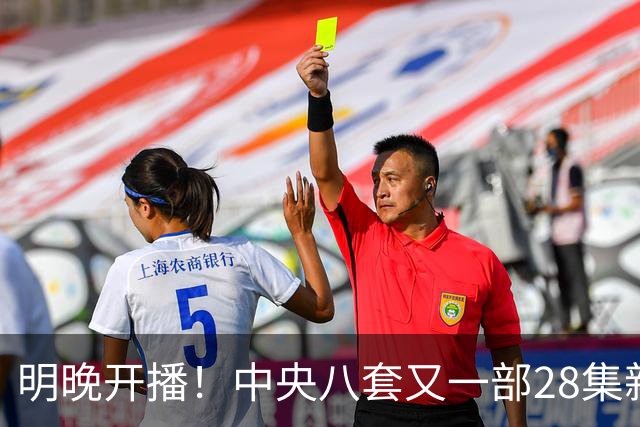 明晚开播！中央八套又一部28集新剧来袭！阵容豪华，又有大剧看了
