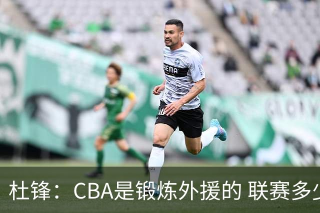 杜锋：CBA是锻炼外援的 联赛多少场也没用 国家队后卫支配球机会很小